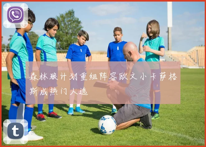 森林狼计划重组阵容欧文小卡萨格斯成热门人选