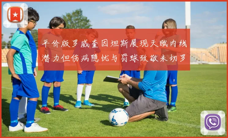 平价版罗威奎因坦斯展现天赋内线潜力但伤病隐忧与罚球致敬米切罗