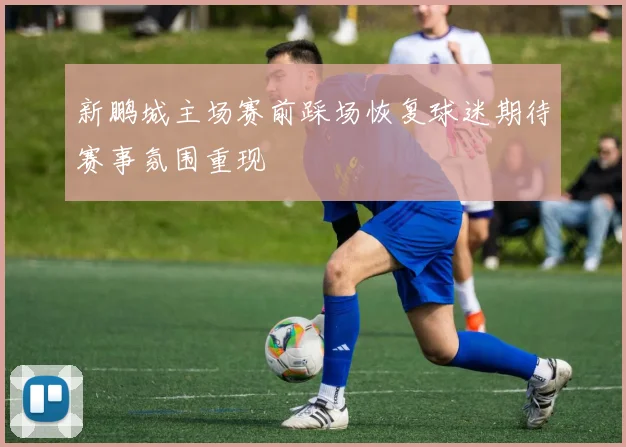 新鹏城主场赛前踩场恢复球迷期待赛事氛围重现