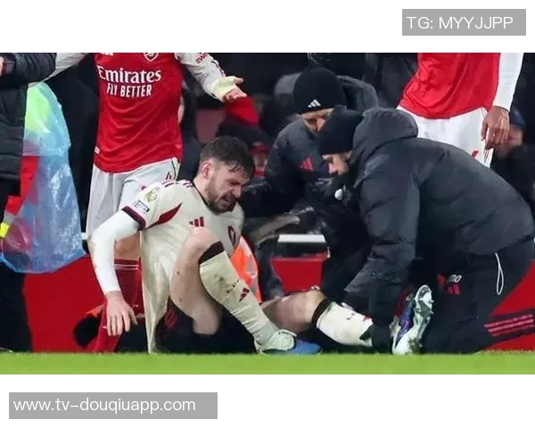 曼城应急引援格伊填补斯通斯格瓦迪亚斯伤缺空缺